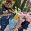 dbamy o ptaki zimą